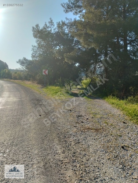 Manisa Yunusemre Beydere Mah. Yerleşim Yanı Satılık Üzüm Bağı — fotoğraf 14