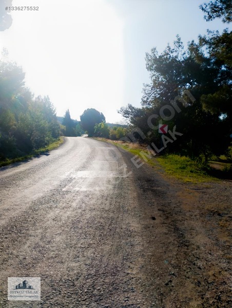 Manisa Yunusemre Beydere Mah. Yerleşim Yanı Satılık Üzüm Bağı — fotoğraf 15