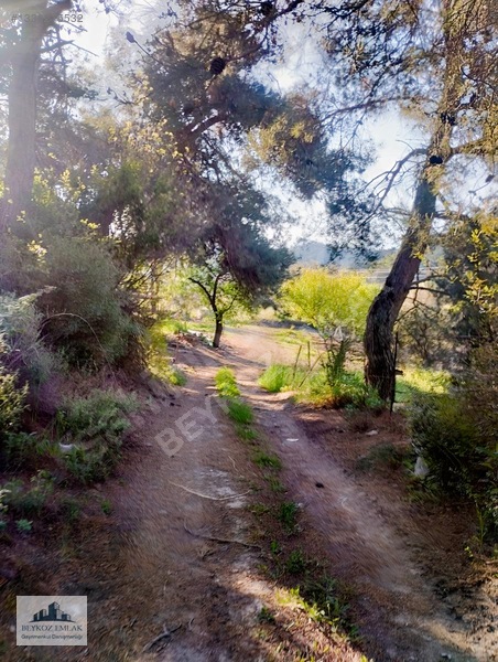 Manisa Yunusemre Beydere Mah. Yerleşim Yanı Satılık Üzüm Bağı — fotoğraf 16