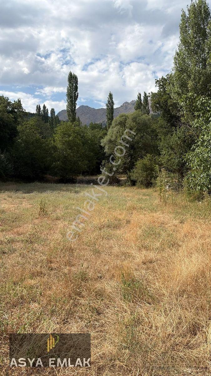 Ağlasun Kıraç Mahallesinde Doğa İle İç İçe Fırsat Arazi — fotoğraf 13