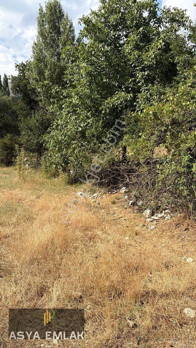 Ağlasun Kıraç Mahallesinde Doğa İle İç İçe Fırsat Arazi — fotoğraf 16