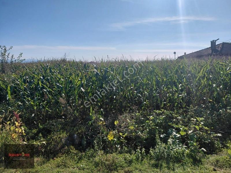 Sakarya Söğütlü Beylikışla Köyü Ana Yola Cephe Satılık Arsa — fotoğraf 5