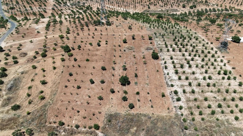 Küçüktülmen Uygun Fiyatli Fıstık Bahçesi Kaçırılmayacak Fırsat — fotoğraf 5