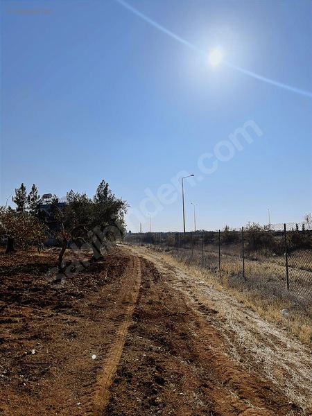 Nizipte Satılık Arazi — fotoğraf 5