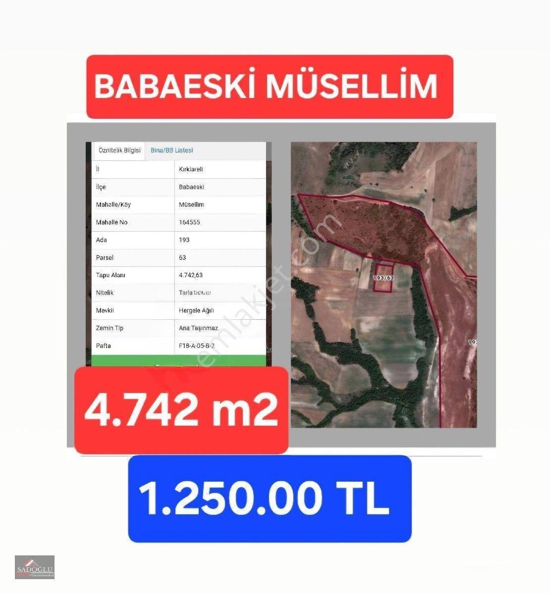 Babaeski Müsellim'de 4.742 M2 — fotoğraf 2