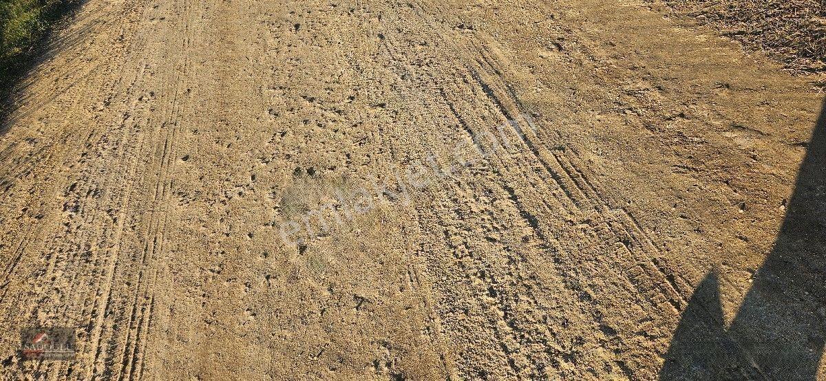 Satılık Süloğlu Tatarlar Köyün'de 8.860 M2 Arazi — fotoğraf 2