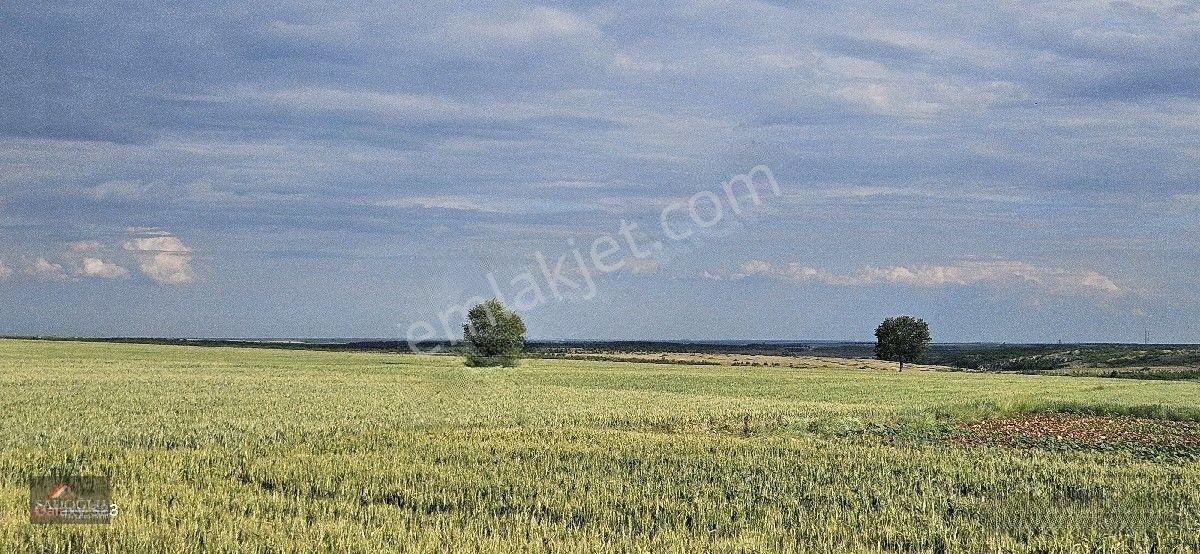 Satılık Süloğlu Tatarlar Köyün'de 8.860 M2 Arazi — fotoğraf 8