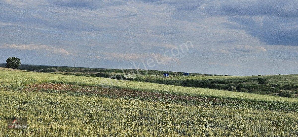 Satılık Süloğlu Tatarlar Köyün'de 8.860 M2 Arazi — fotoğraf 9