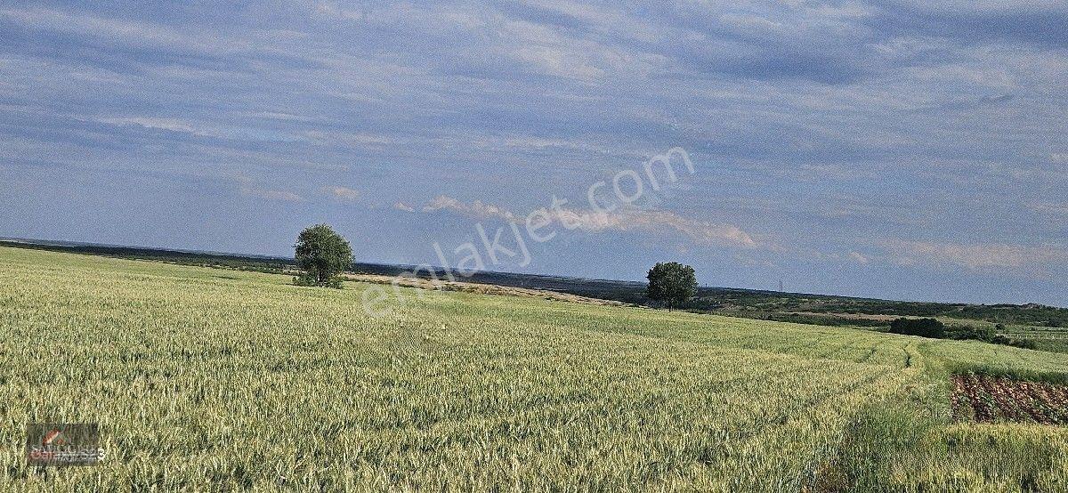 Satılık Süloğlu Tatarlar Köyün'de 8.860 M2 Arazi — fotoğraf 10