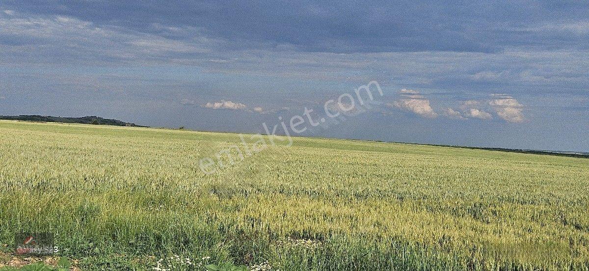 Satılık Süloğlu Tatarlar Köyün'de 8.860 M2 Arazi — fotoğraf 11
