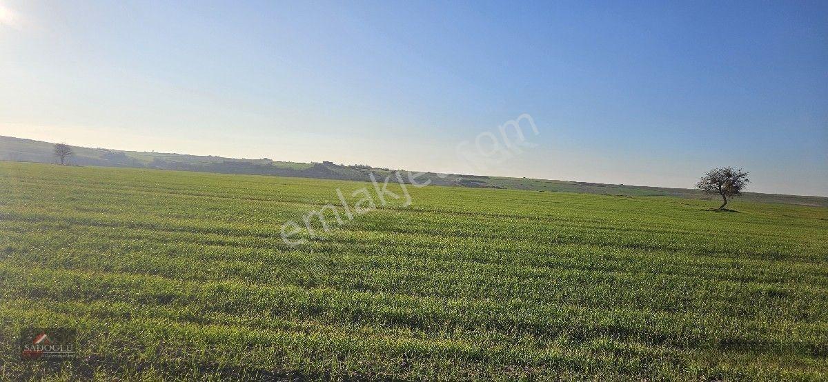 Satılık Süloğlu Tatarlar Köyün'de 8.860 M2 Arazi — fotoğraf 12