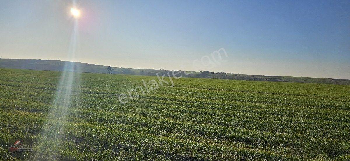 Satılık Süloğlu Tatarlar Köyün'de 8.860 M2 Arazi — fotoğraf 13