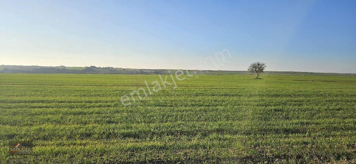 Satılık Süloğlu Tatarlar Köyün'de 8.860 M2 Arazi — fotoğraf 14