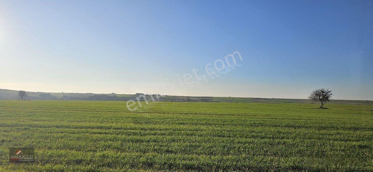 Satılık Süloğlu Tatarlar Köyün'de 8.860 M2 Arazi — fotoğraf 15