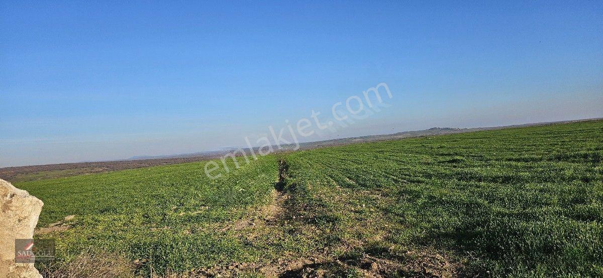 Satılık Süloğlu Tatarlar Köyün'de 8.860 M2 Arazi — fotoğraf 18
