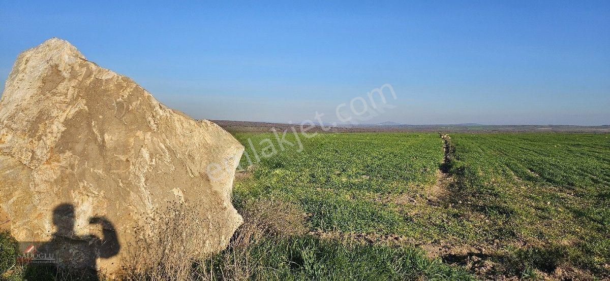 Satılık Süloğlu Tatarlar Köyün'de 8.860 M2 Arazi — fotoğraf 19