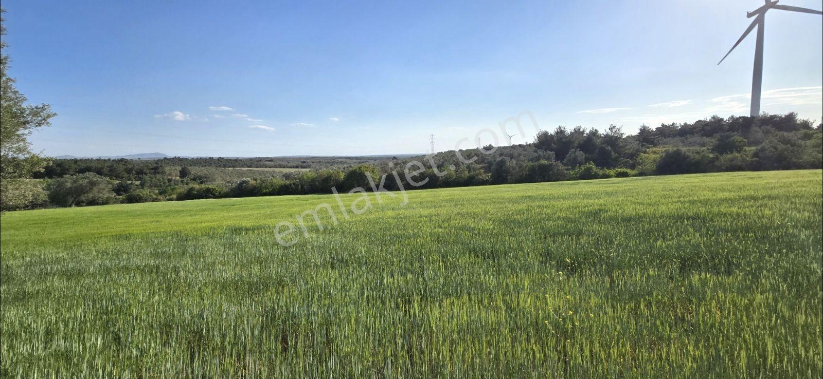 Asfalt Yola Cephe Manzaralı Kupon Satılık Kelepir Arazi — fotoğraf 12