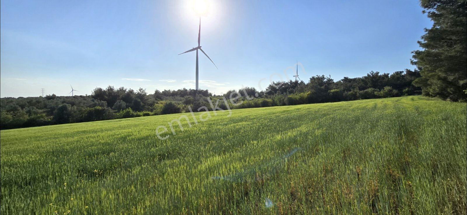 Asfalt Yola Cephe Manzaralı Kupon Satılık Kelepir Arazi — fotoğraf 14