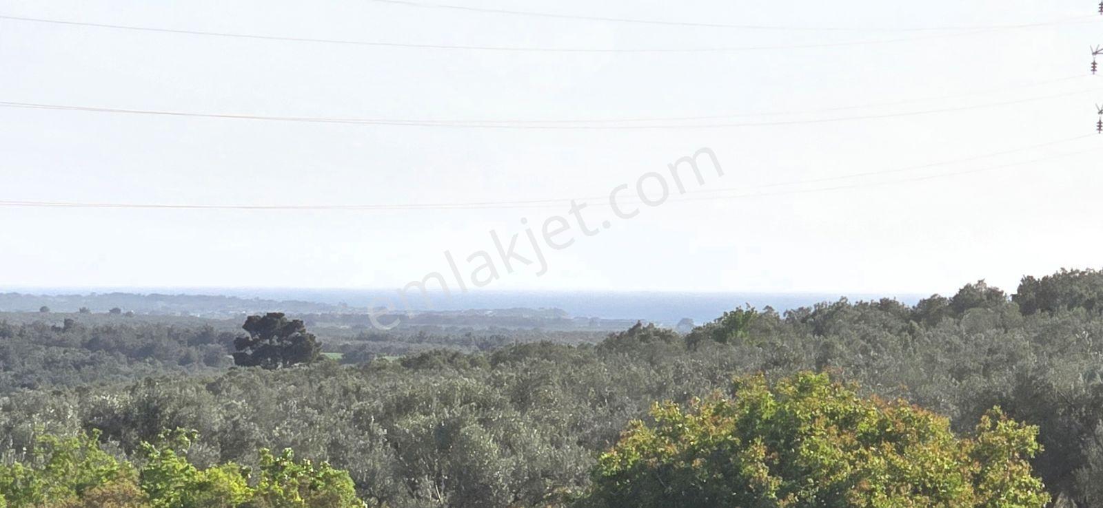 Asfalt Yola Cephe Manzaralı Kupon Satılık Kelepir Arazi — fotoğraf 20