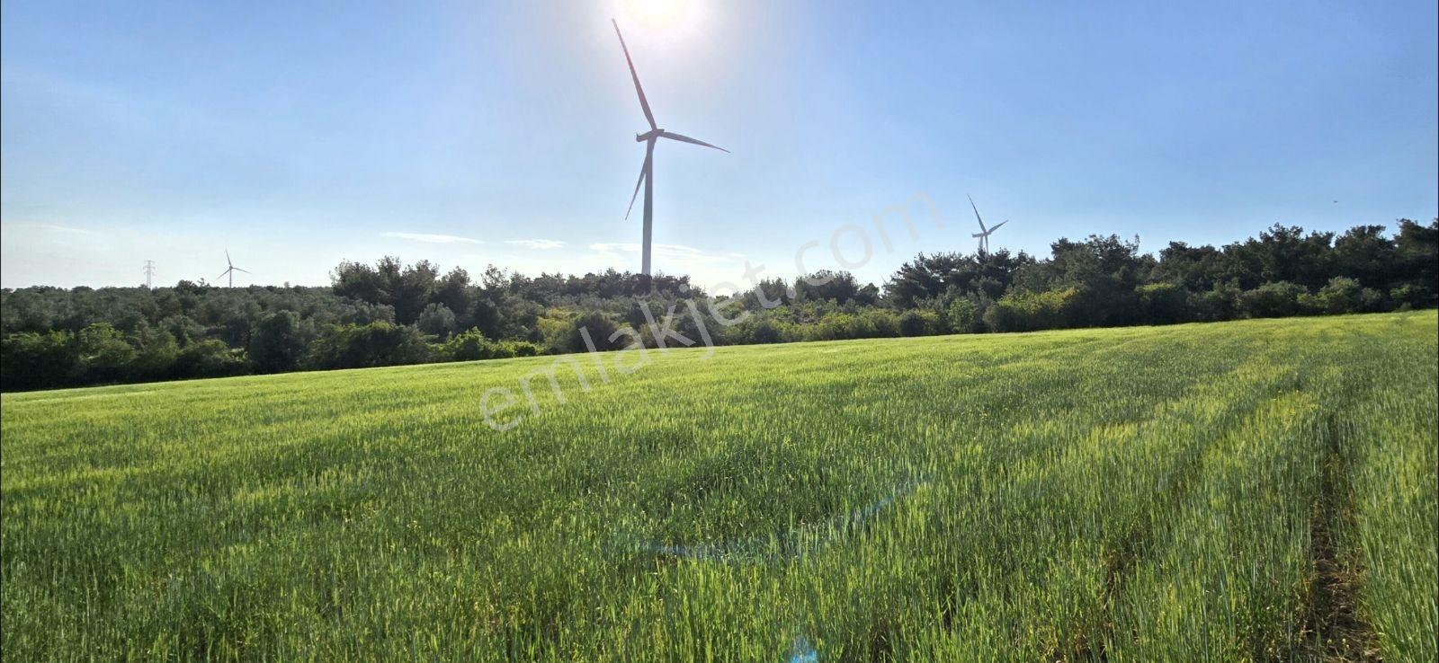 Asfalt Yola Cephe Manzaralı Kupon Satılık Kelepir Arazi — fotoğraf 24