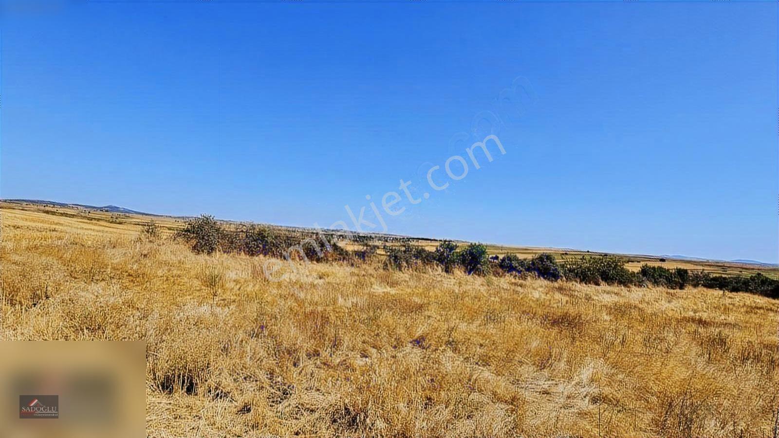 Süloğlu Taşlısekban'da 7.172 M2 Satılık Arazi — fotoğraf 7