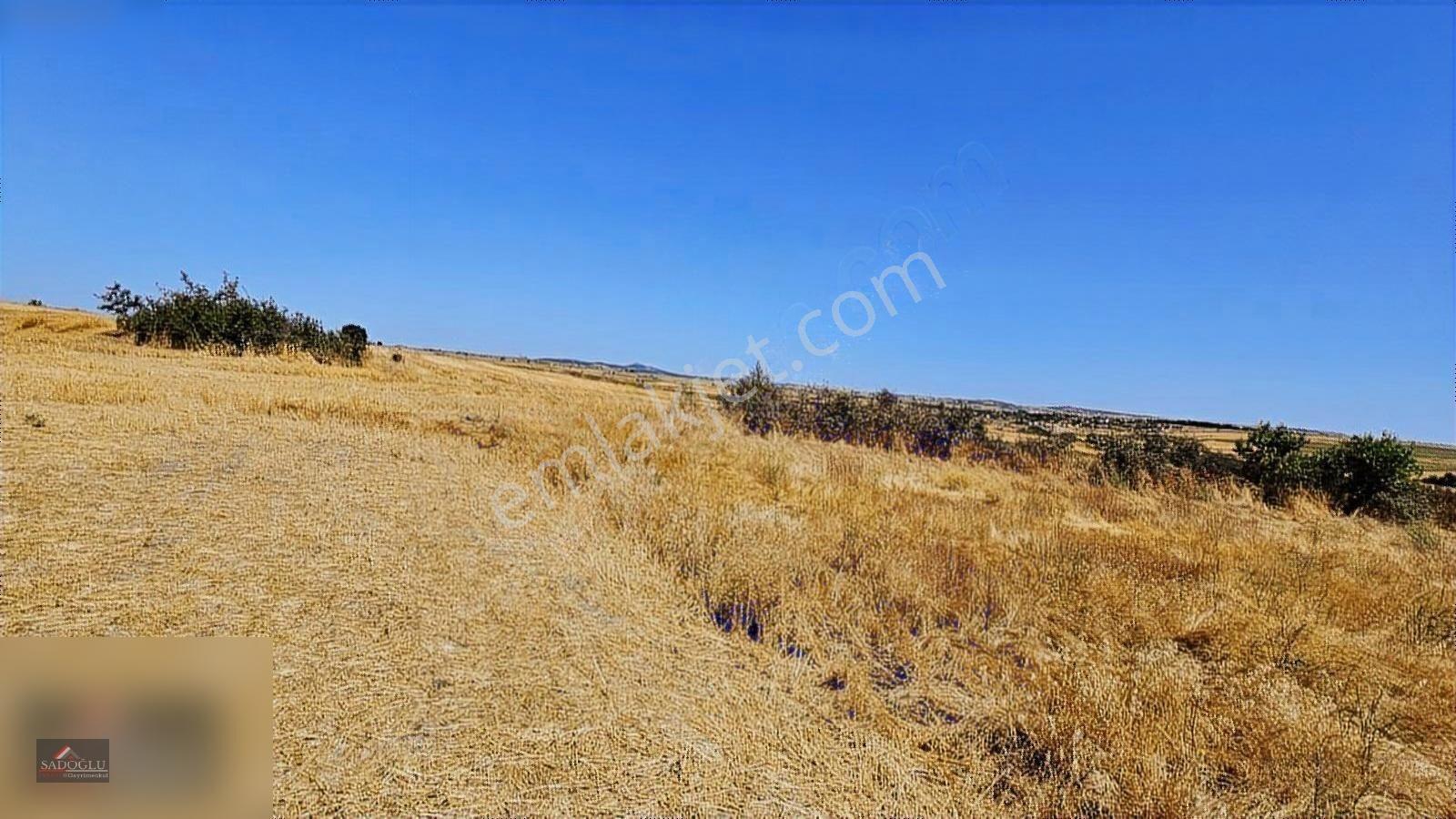 Süloğlu Taşlısekban'da 7.172 M2 Satılık Arazi — fotoğraf 8