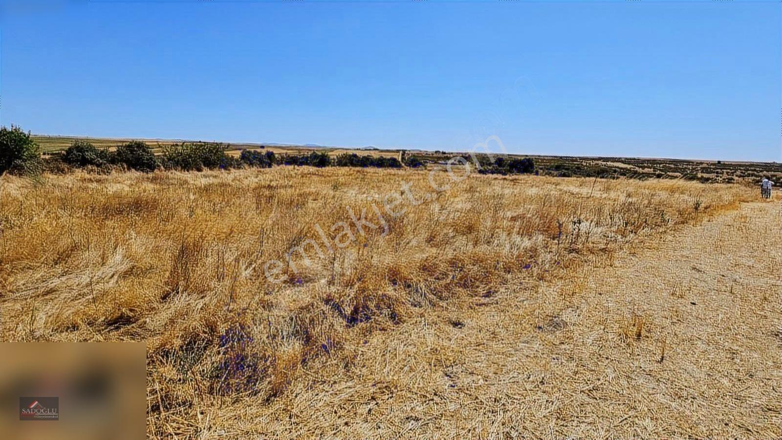 Süloğlu Taşlısekban'da 7.172 M2 Satılık Arazi — fotoğraf 9