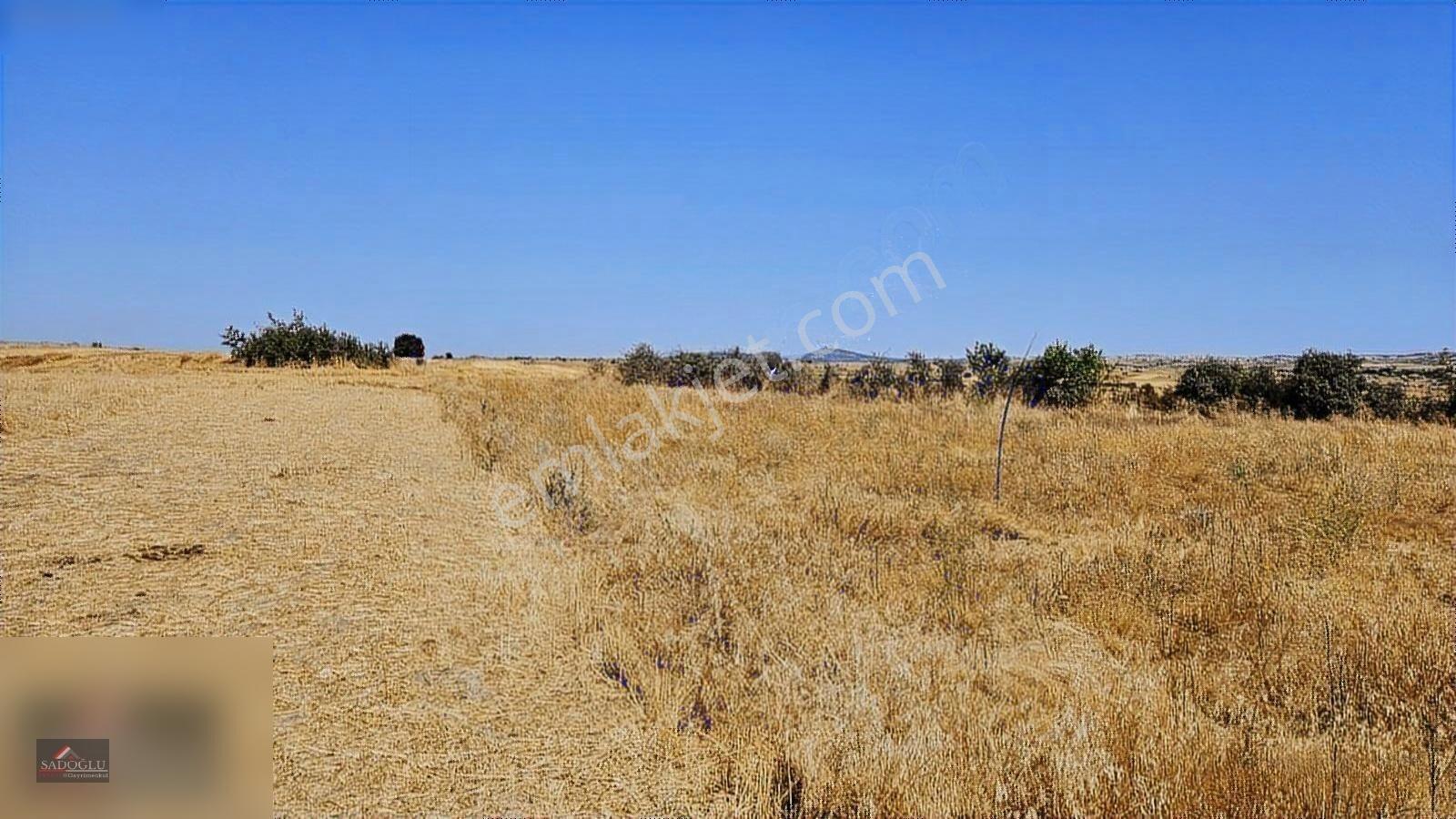 Süloğlu Taşlısekban'da 7.172 M2 Satılık Arazi — fotoğraf 13