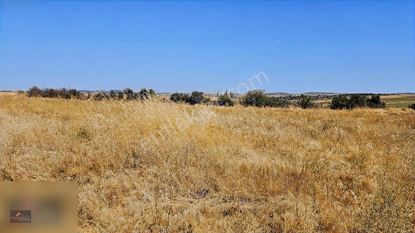 Süloğlu Taşlısekban'da 7.172 M2 Satılık Arazi — fotoğraf 15