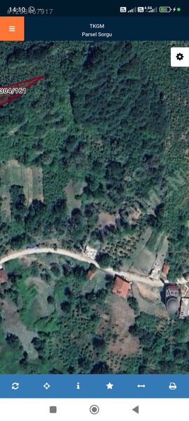 Düzce'de Köyiçi 383 Mt Fındık Bahçesi — fotoğraf 7