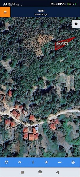 Düzce'de Köyiçi 383 Mt Fındık Bahçesi — fotoğraf 8