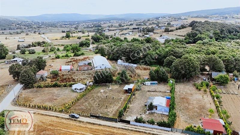 Temo'dan Yeni Yaşam Alanı !! — fotoğraf 4