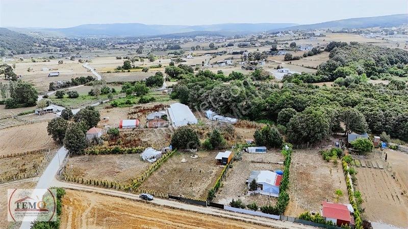 Temo'dan Yeni Yaşam Alanı !! — fotoğraf 5