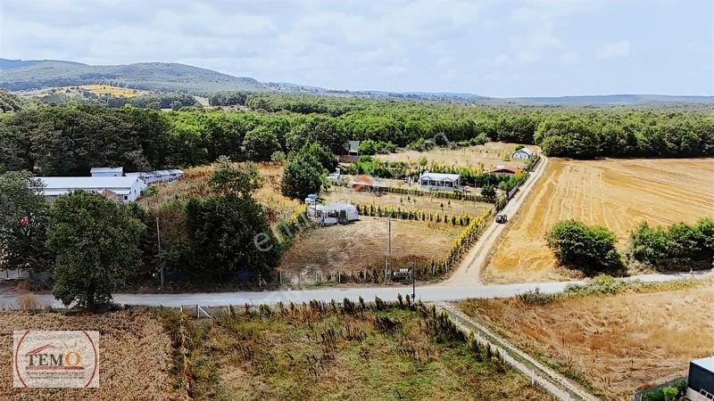 Temo'dan Yeni Yaşam Alanı !! — fotoğraf 7