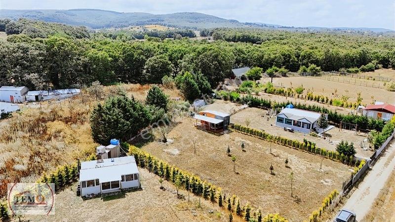 Temo'dan Yeni Yaşam Alanı !! — fotoğraf 8