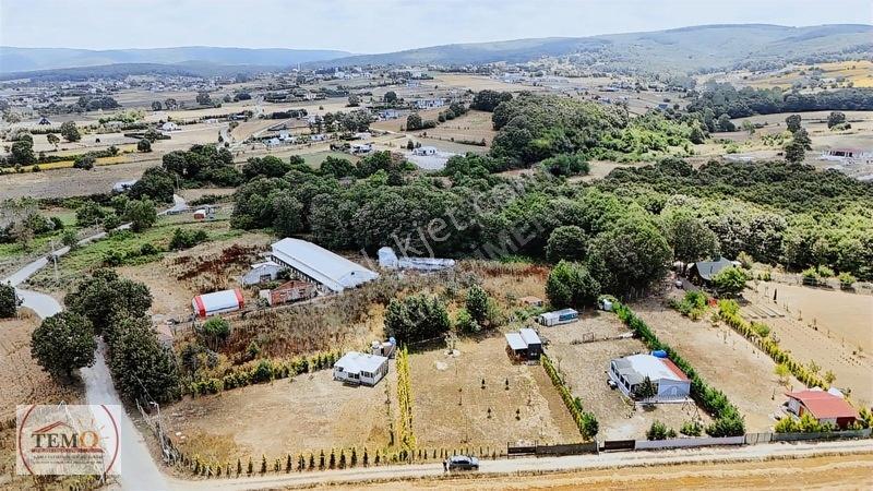 Temo'dan Yeni Yaşam Alanı !! — fotoğraf 9
