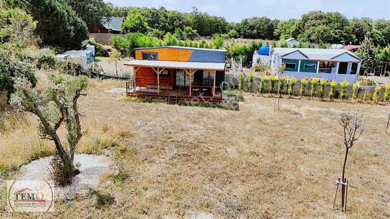 Temo'dan Yeni Yaşam Alanı !! — fotoğraf 12
