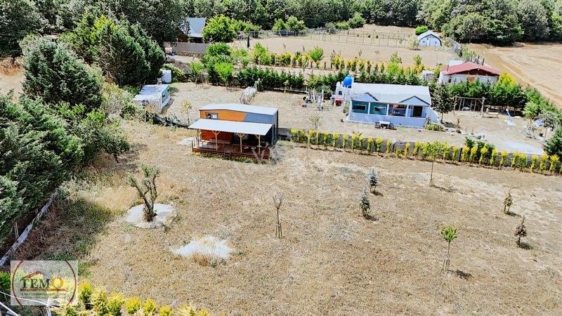 Temo'dan Yeni Yaşam Alanı !! — fotoğraf 15