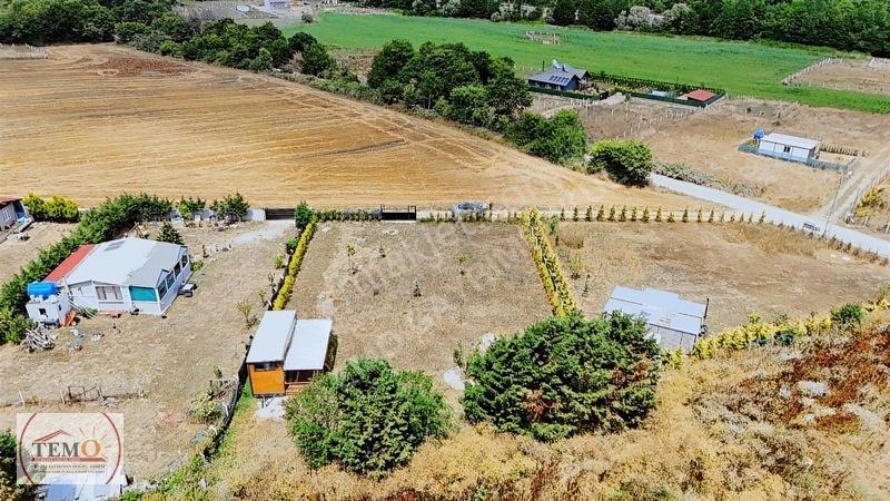 Temo'dan Yeni Yaşam Alanı !! — fotoğraf 18