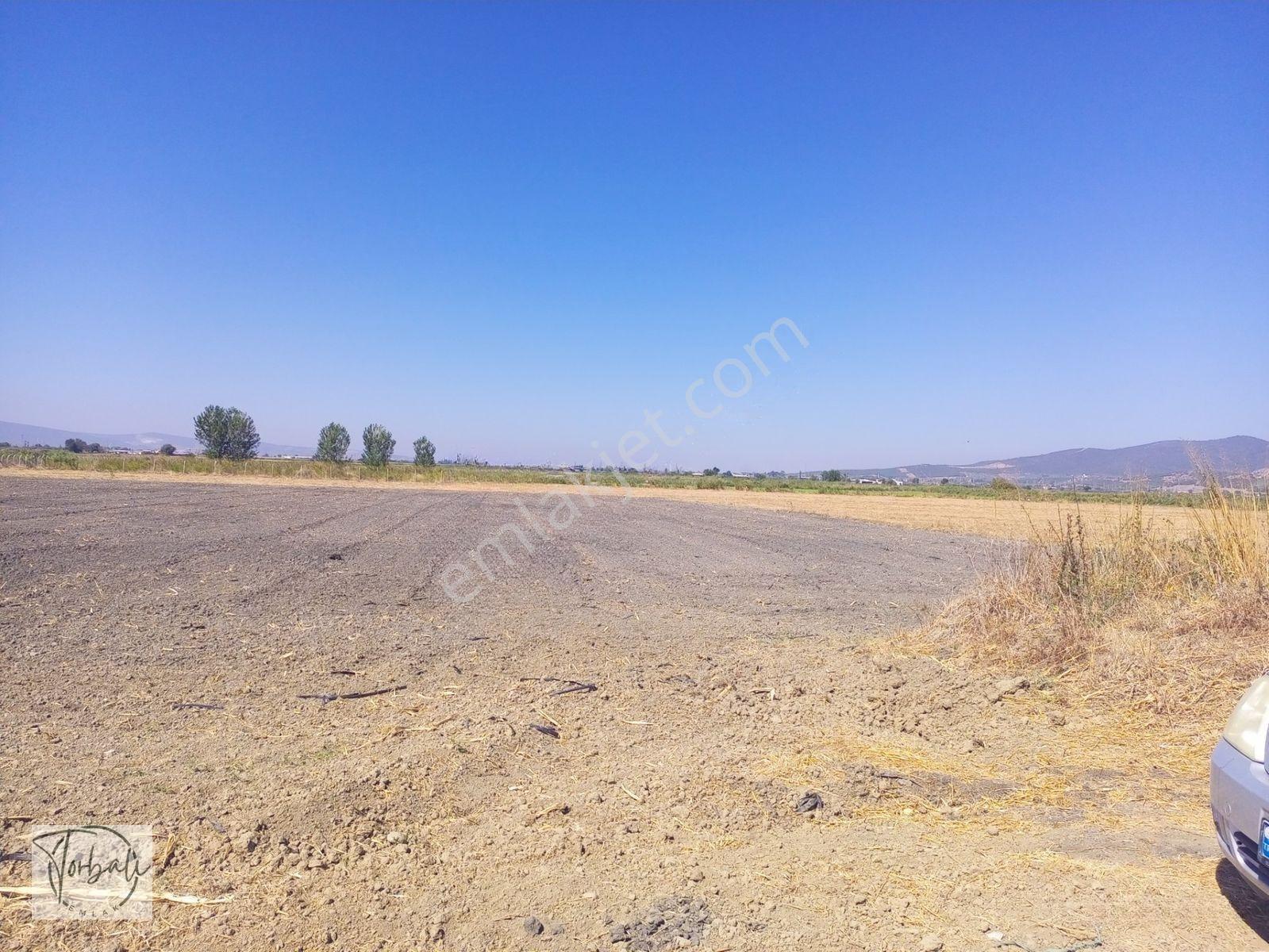 Torbalı Emlak'Tan Arslanlarda 2330M2 Hisse Olan Hazine Arazisi Satılıktır