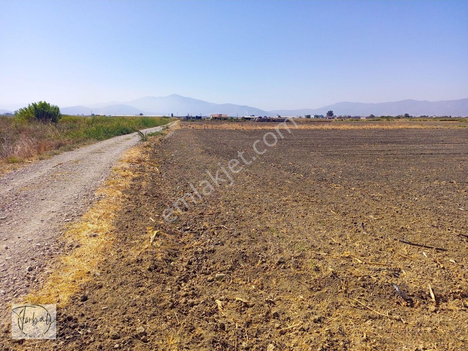 Torbalı Emlak'tan Arslanlarda 2330m2 Hisse Olan Hazine Arazisi Satılıktır — fotoğraf 2