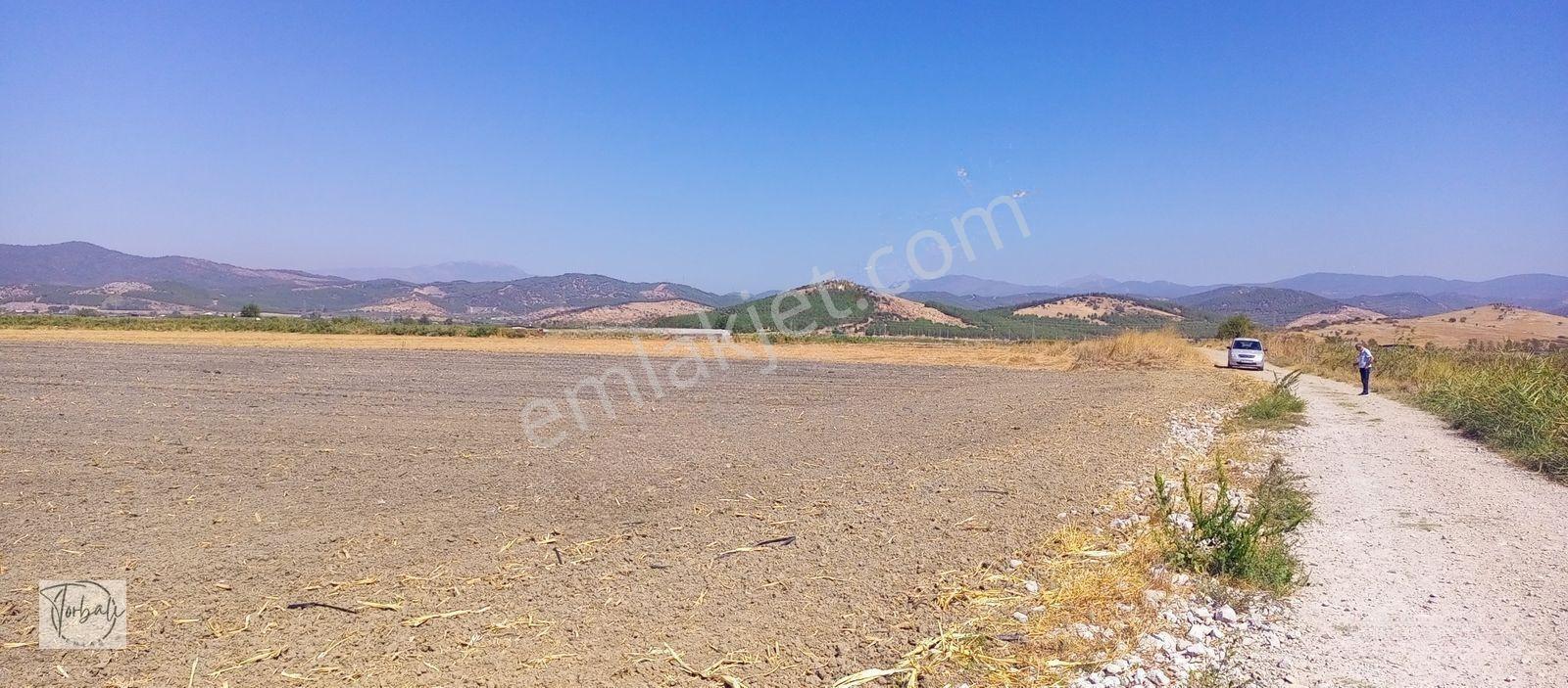 Torbalı Emlak'tan Arslanlarda 2330m2 Hisse Olan Hazine Arazisi Satılıktır — fotoğraf 3
