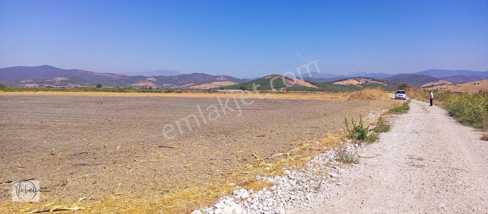 Torbalı Emlak'tan Arslanlarda 2330m2 Hisse Olan Hazine Arazisi Satılıktır — fotoğraf 4