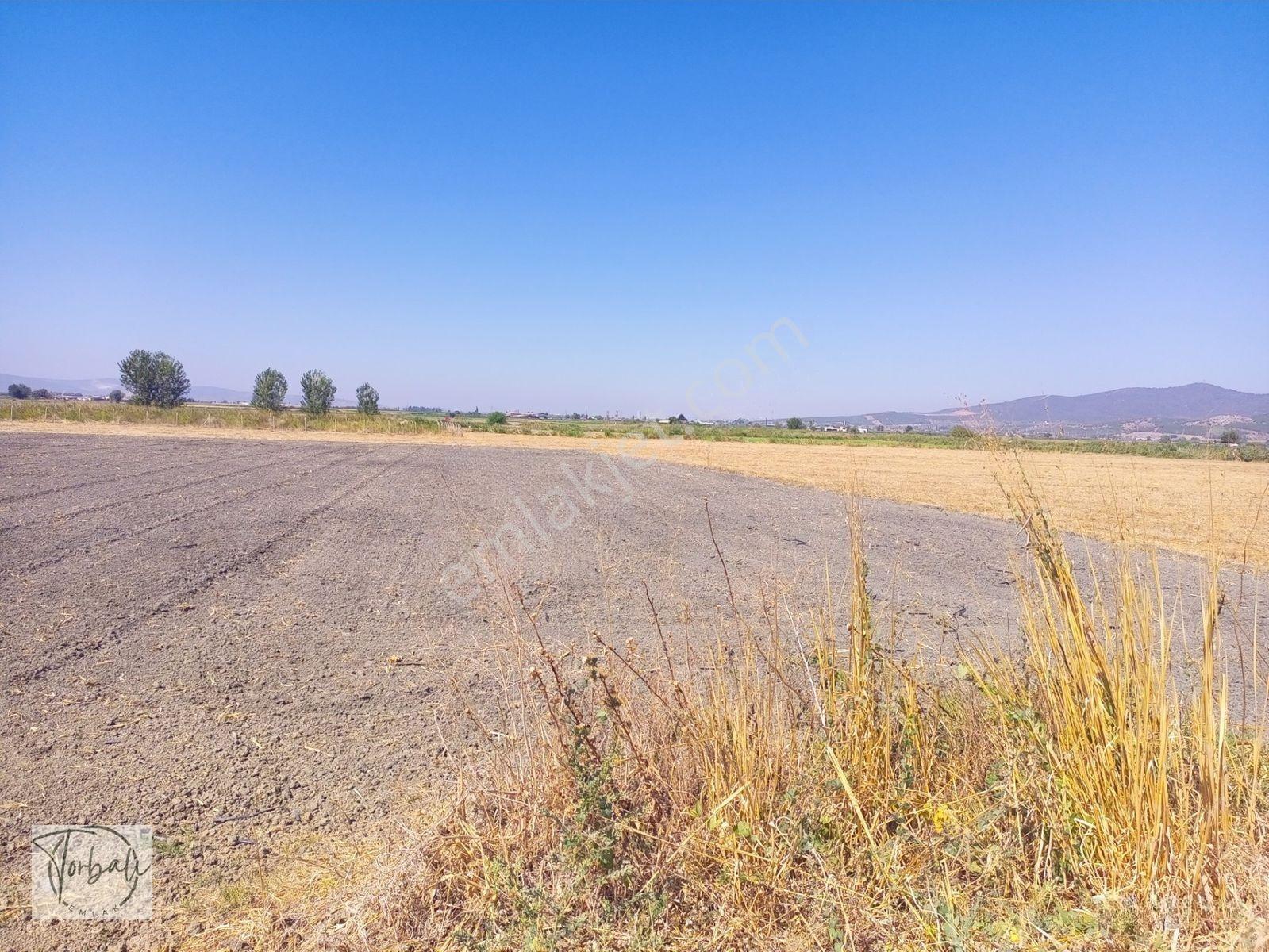 Torbalı Emlak'tan Arslanlarda 2330m2 Hisse Olan Hazine Arazisi Satılıktır — fotoğraf 5