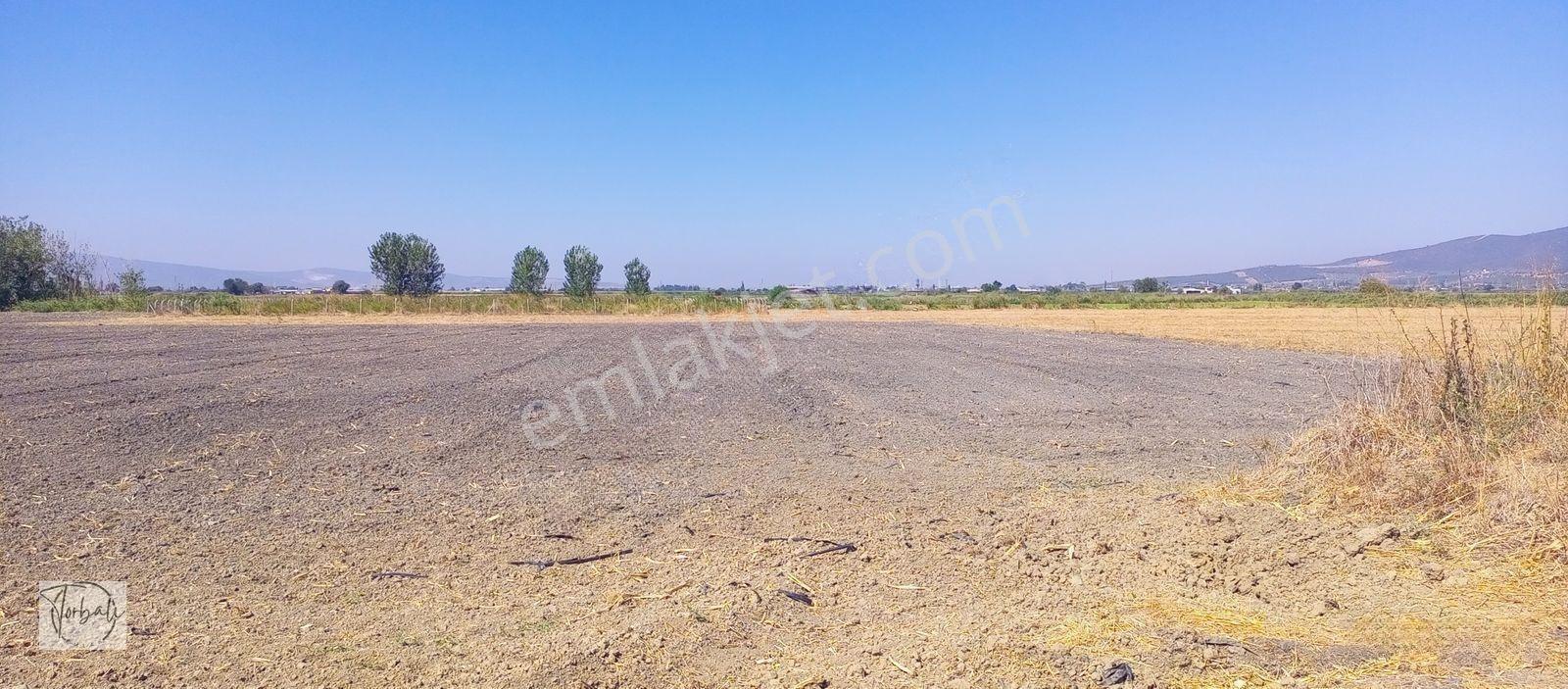 Torbalı Emlak'tan Arslanlarda 2330m2 Hisse Olan Hazine Arazisi Satılıktır — fotoğraf 6