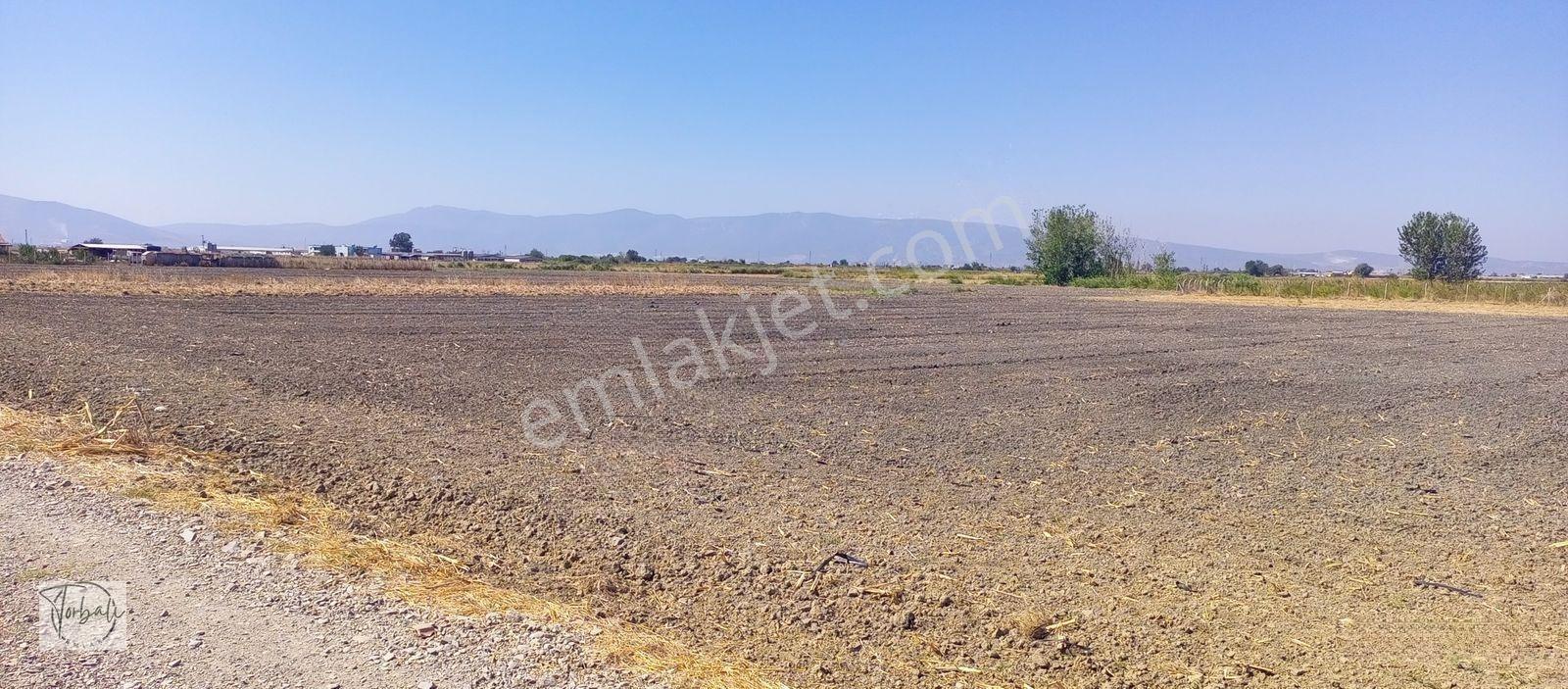 Torbalı Emlak'tan Arslanlarda 2330m2 Hisse Olan Hazine Arazisi Satılıktır — fotoğraf 7