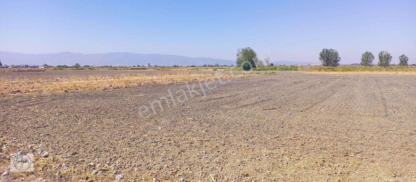 Torbalı Emlak'tan Arslanlarda 2330m2 Hisse Olan Hazine Arazisi Satılıktır — fotoğraf 8