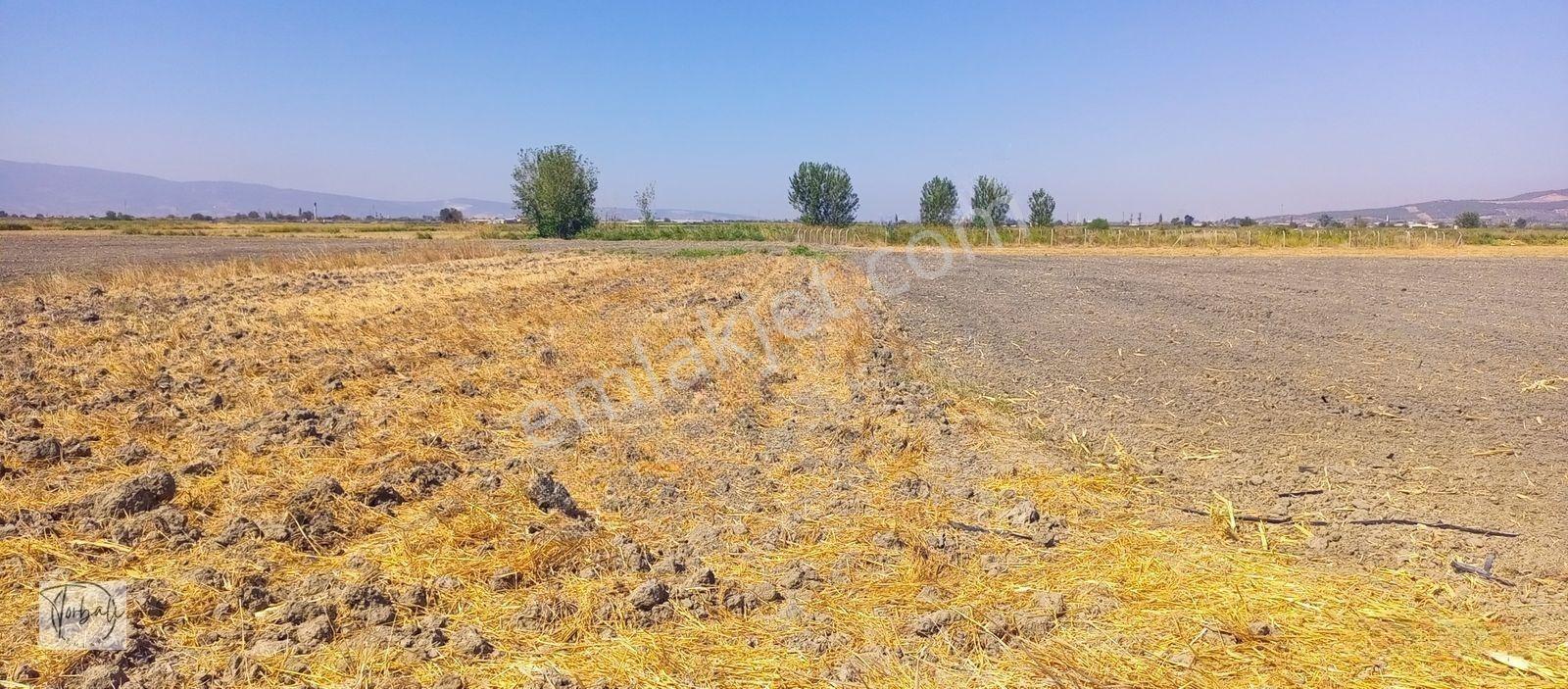 Torbalı Emlak'tan Arslanlarda 2330m2 Hisse Olan Hazine Arazisi Satılıktır — fotoğraf 9