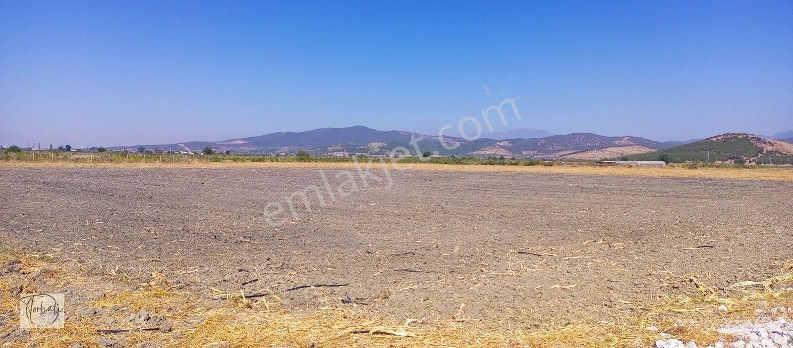 Torbalı Emlak'tan Arslanlarda 2330m2 Hisse Olan Hazine Arazisi Satılıktır — fotoğraf 10