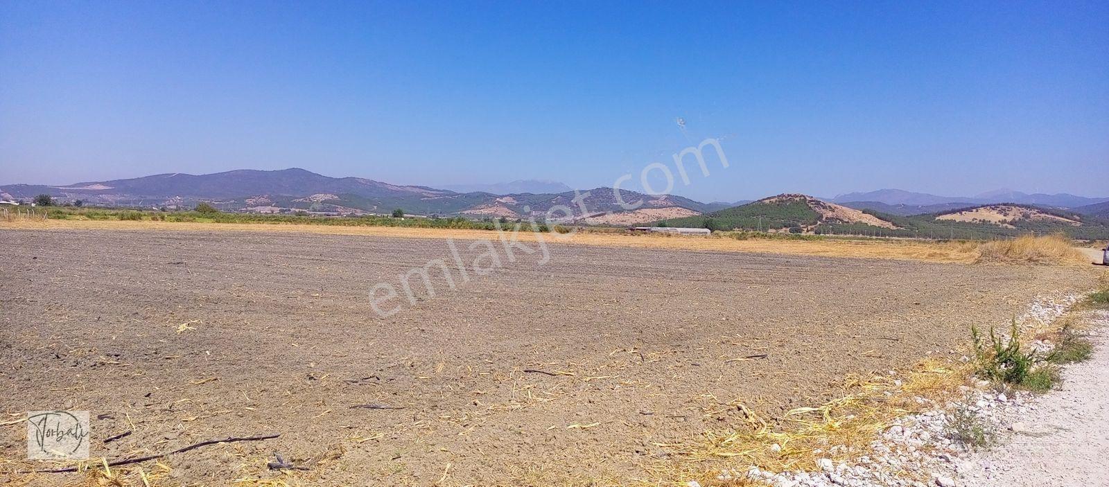 Torbalı Emlak'tan Arslanlarda 2330m2 Hisse Olan Hazine Arazisi Satılıktır — fotoğraf 11